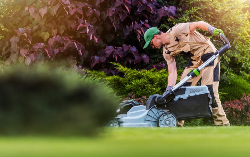 Lawn Mowing