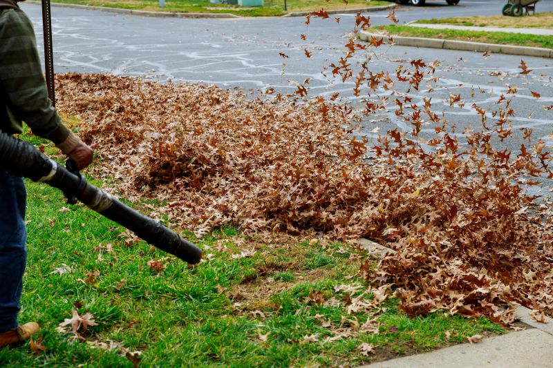 Close-up of Leaf Removal Tools