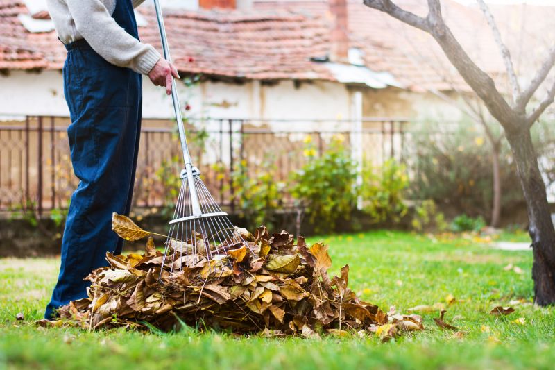 Clean and Tidy Garden Bed