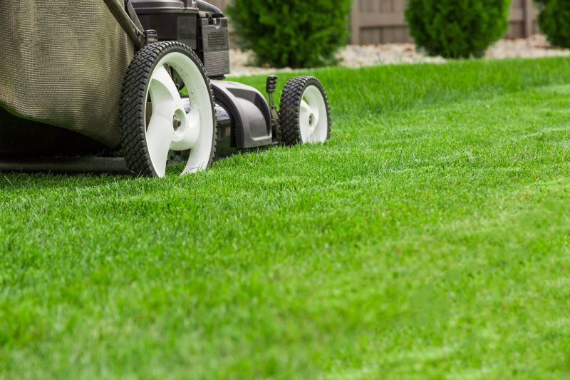 Equipment for Lawn Maintenance
