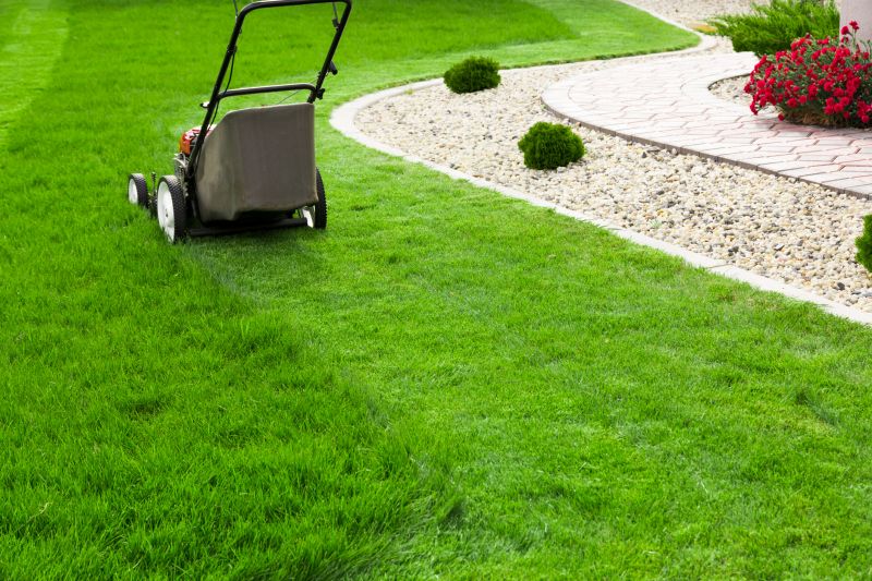 Healthy Lawn Care